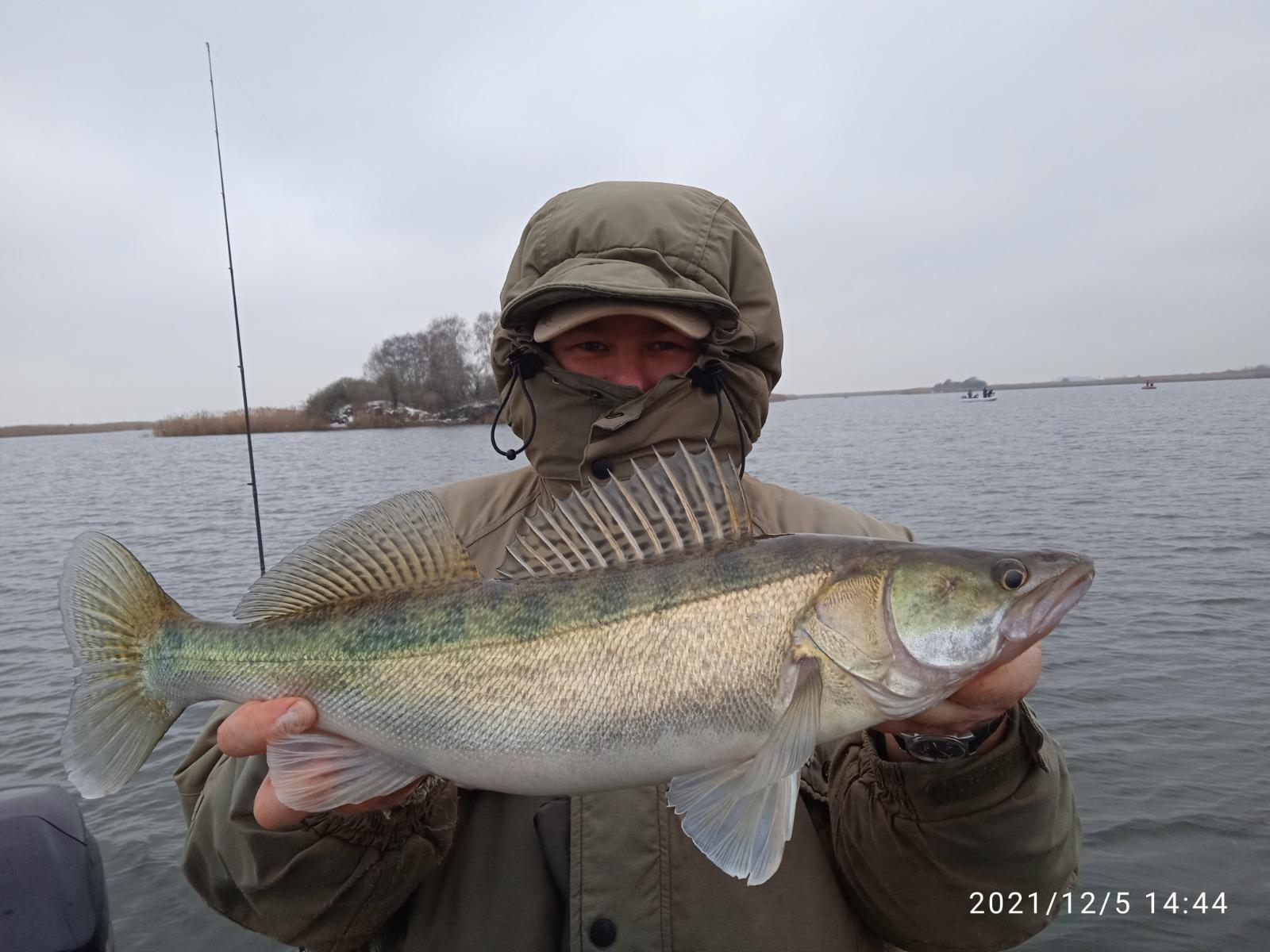 Самая большая рыба в калининградской области. Рыболовные форумы Калининграда в контакте.